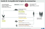 Covid-19 : le mystère de l'origine du coronavirus
