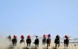 Des chevaux et leurs cavaliers s'affrontent dans l'une des courses de Birdsville, célèbres dans toute l'Australie, le 31 août 2018 