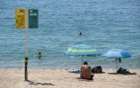 Un panneau indique les espaces réservés aux adultes et aux familles sur la plage de Lloret de Mar, le 22 juin 2020 en Espagne