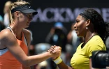 Serena Williams (d) serre la main de Maria Sharapova après avoir éliminé la Russe en quarts de l'Open d'Australie, le 26 janvier 2016 à Melbourne