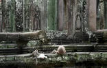 Des macaques dans les vestiges du temple d'Angkor Wat, le 7 juillet 2022 à Siem Reap, au Cambodge
