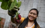 Adriana Armas montre des radis cultivés dans son potager de Guatemala City, le 28 mai 2020