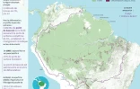 La forêt amazonienne, puits de carbone en danger
