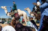 Des nomades défilent à dos de chameau pour le premier marathon du Niger, le 29 décembre 2019 à Agadez.