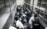 Photo diffusée le 16 mars 2025 par le service de presse de la présidence du Salvador montrant l'arrivée de membres présumés du gang vénézuélien Tren de Aragua au Centre d'Internement pour le Terrorisme (Cecot) à Tecoluca, au Salvador