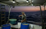 Le pêcheur grec Michalis Zevelekakis sur son bateau au large du port de Ierapetra, en Crète, le 3 juin 2026
