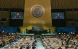 Le président ukrainien Volodymyr Zelensky s'adresse à l'Assemblée générale de
l'ONU à New York le 19 septembre 2023