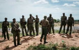 Des agents de sécurité sur les lieux où des corps ont été exhumés près de la ville côtière kényane de Malindi (est), le 23 avril 2023
