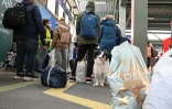 Des réfugiés ukrainiens avec leur chien, à la gare de Stuttgart (Allemagne), le 17 mars 2022