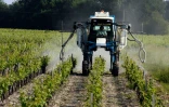 Un tracteur vaporise du sulfate sur un vignoble à Macau près de Bordeaux en mai 2012
