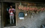 L'agriculteur Balaji Khindkar montre une photo de son frère d'Amol, qui s'est suicidé en raison de l'accumulation de prêts financiers, devant sa maison du village d'Ambilwadgaon, dans l'Etat du Maharashtra, le 3 mai 2025 en Inde
