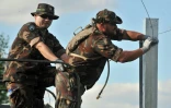 Des soldats hongrois érigent une clôture le 21 septembre 2015 entre les villages croate de Baranjsko et hongrois de Beremend