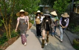 La propriétaire Yu Dun (g), fait visiter à des touristes sa plantation de café Tianyuzhuang à Pu'er, le 1er avril 2025 dans la province du Yunnan, dans le sud-ouest de la Chine