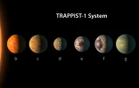 Image fournie le 22 février 2017 par l'Observatoire européen austral (ESO) montrant les planètes du système TRAPPIST-1 