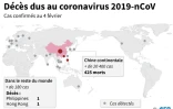 Les cas de coronavirus dans le monde