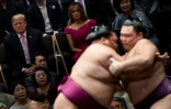 Donald Trump (G), son épouse Melania Trump (C) et le Premier ministre japonais Shinzo Abe (D) assistent à un tournoi de sumo à Tokyo le 26 mai 2019