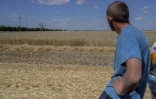 Un agriculteur regarde son champ de blé près de  Mykolaïv, le 21 juillet 2022