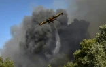 Un avion largue de l'eau sur un feu de forêt à Labiri, près de Patras (Grèce), le 31 juillet 2021