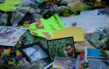 Des photos et des fleurs dispersés devant le mémorial pour les victimes du Pulse à Orlando le 14 juin 2016