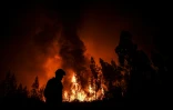 Incendie de forêt à Macao au Portugal le 21 juillet 2019