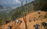 La descente des rameaux dans le parc de Waraira Repano qui domine Caracas
9 avril 2022