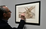 Jean-Hubert Martin, commissaire de l'exposition "Carambolages" devant la peinture d'Albrech Durer "Tete de cerf percee d'une fleche", le 25 février 2016 au Grand Palais in Paris