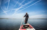 Abu Hayder, un guide écotouristique, navigue sur les marais du sud de l'Irak, le 29 mars 2019 à Chibayich
