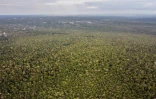 Vue aérienne de la forêt de Pira Parana dans la province de Vaupes en Colombie, le 10 novembre 2023