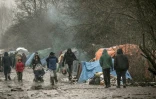 Le bidonville de migrants de Grande-Synthe, près de Dunkerque, le 18 février 2016
