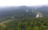 Vue aérienne de la forêt gabonaise, sur une image diffusée le 27 septembre 2019 par Ageos