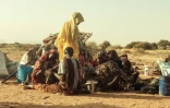 Des femmes et des enfants déplacés, qui ont fui le camp de Zamzam, rassemblés près de la ville de Tawila, au Darfour du Nord, le 14 février 2025 au Soudan
