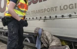 Un policier fait sortir de dessous un train une jeune fille somalienne de 15 ans à la gare de Raubling en Allemagne, le 24 août 2017