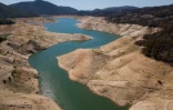 Signe de la sécheresse qui sévit en Californie, le niveau du lac d'Oroville, dans le comté de Butte, est moitié moins élevé que la normale pour cette période de l'année, le 25 mai 2021