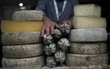 Des fromages et saucissons au Terra Madre Salone del Gusto du mouvement Slow Food Ă Turin le 22 septembre 2016