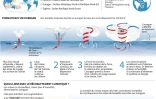 Le fonctionnement d'un ouragan