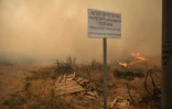 "Il est interdit de jeter des cigarettes, cela peut provoquer un incendie", dit un panneau dans la région de Megara en proie à un feu, le 3 août 2026.