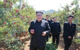Photo non datée fournie le 21 septembre 2017 par l'agence nord-coréenne KCNA du leader nord-coréen Kim Jong-Un visitant un verger à Kwail-üp, dans la province de Hwanghae