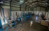 Le centre de conditionnement de la plantation de café de Gorongosa, le 20 mai 2022