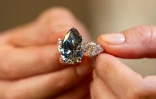 Le diamant Bleu Royal de 17,61 carats, le 2 novembre à Genève