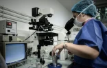 Le laboratoire CECOS, l'unité de procréation médicalement assistée (PMA) de l'Hôpital Tenon (AP-HP), le 24 septembre 2019 à Paris