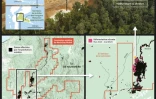 Extraction de nickel et déforestation en Indonésie