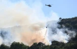 Un hélicoptère largue de l'eau sur des arbres en feu près de Cernon, dans le Jura, le 11 août 2022 