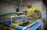 Le mineur Dai Walker trie les déblais de la mine d'or de Clogau-St David's pour en séparer l'or, près de Dolgellau au Pays de Galles, le 27 mars 2025