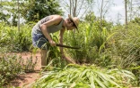 Doryan Kuschner, un architecte spécialisé dans les matériaux naturels, s'occupe de plantes lors d'un "agro-bootcamp", camp de formation à l'agro-écologie, le 16 avril 2019 à Tori-Bossito, au Bénin