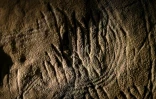 Des gravures dans la roche datant d'environ 30 000 ans lors d'une visite exclusive accordée par la DRAC de Nouvelle-Aquitaine, à l'intérieur de la grotte de Cussac, le 20 février 2025 au Buisson-de-Cadouin, en Dordogne