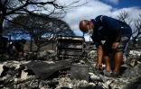 Un habitant fouille dans les cendres après un incendie à Lahaina, à Hawaï le 11 août 2023