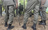 Des rangers de la fondation Africa Nature Investors s'apprêtent à partir en patrouille dans la forêt d'Okomu, dans le sud-ouest du Nigeria, le 11 novembre 2025