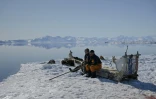 Les chasseurs inuits Hjelmer Hammeken (G) et Martin Madsen (D) près d'Ittoqqortoormiit le 26 avril 2024