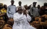 Le candidat de l'opposition Adama Barrow le 29 novembre 2016 à Talinding
