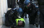 Un Gilet jaune interpellé par les gendarmes à Paris le 23 février 2019
